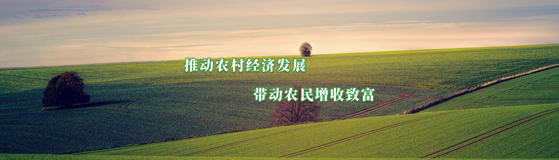 �ڲ��������רҵЧ��,����Ϊ��