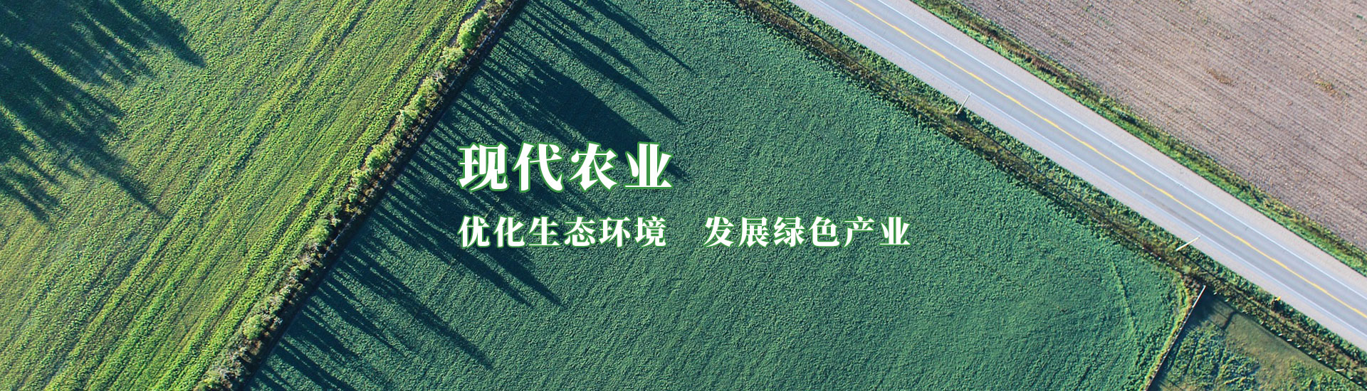 �ڲ��������רҵЧ��,����Ϊ��