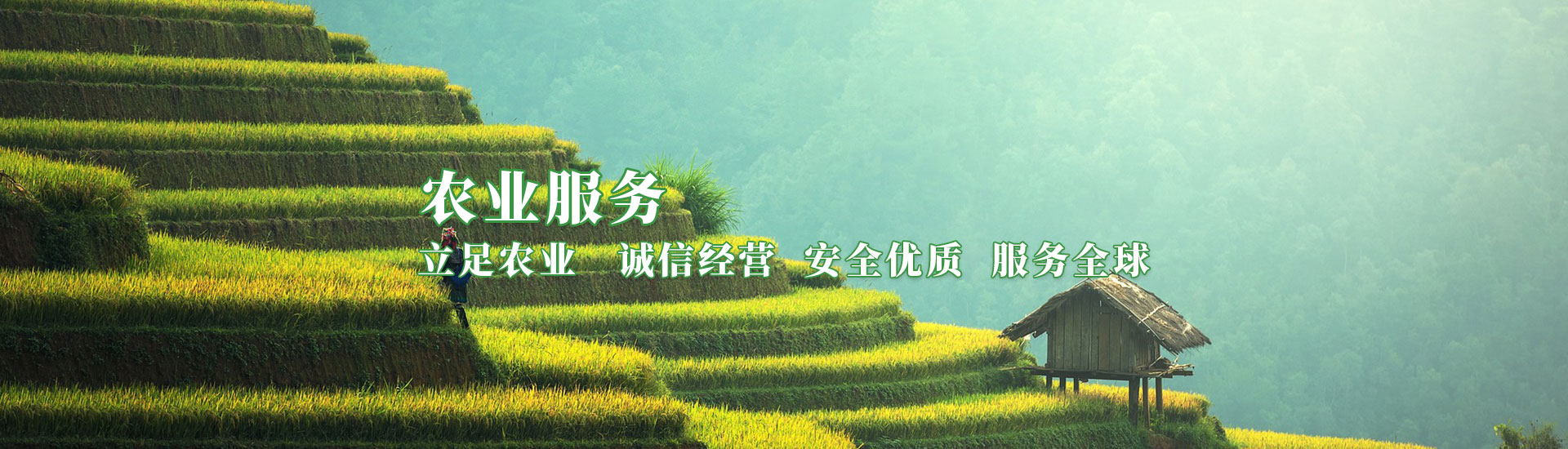 �ڲ��������רҵЧ��,����Ϊ��