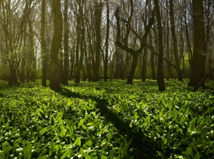 ��ũ�����������������գ� ���й�ũ�ʡ��ִ�ũҵЧ���Ŷ�������������