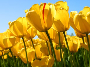 �����ջ���˳� �����ѳɶ���