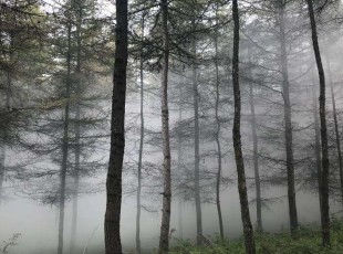 ���Ŀ�����ѯЧ�����޹�˾������������ƺ��Ӫ�ֳ���չ���˻��ɷ���ҵ