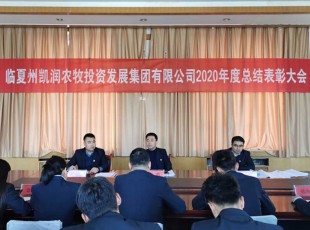 �������ľ��� չ��δ������ �������ڲ��������˾�ٿ�2020����ܽ������