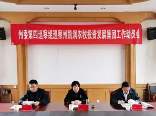 ��ί����Ѳ����Ѳ�����ڲ��������˾Ѳ�����鷢�����ٿ�