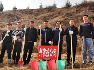 �ڲ����������2021�괺������ֲ���