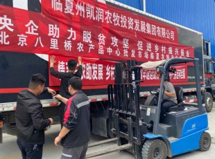 ��������   ��ҵ���� ����������ũ�ز�Ʒ��פ����������ũ��Ʒ���������г�