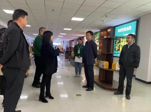 ���ڲ������������ˮ���ڲ������ͨ��������˾������ʵ����˾����